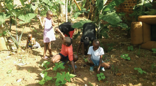 food-Security-1